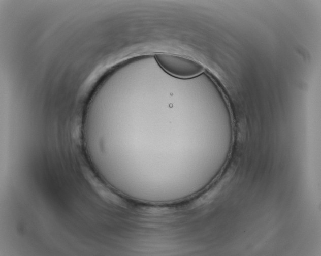 X0000113611499200910091530