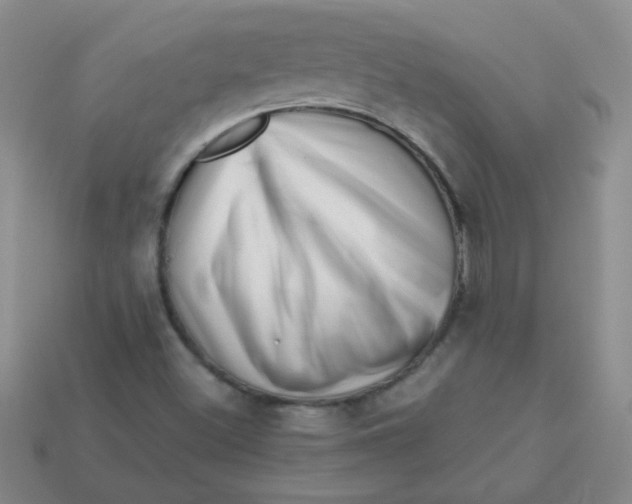 X0000113611500200910091530