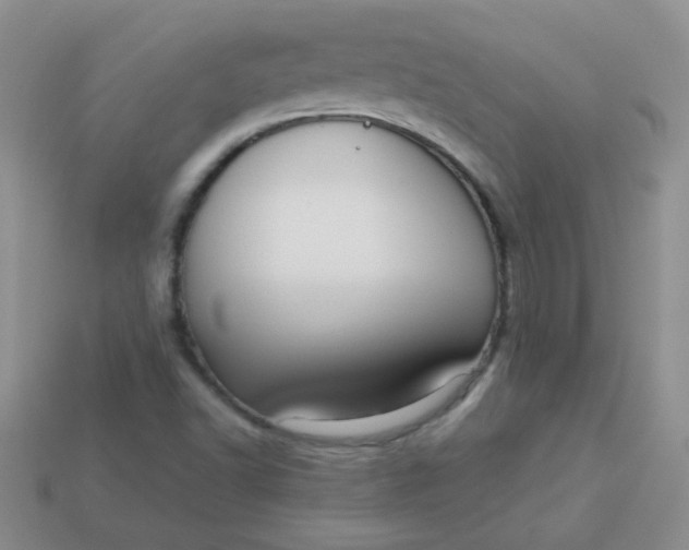 X0000113611502200910091530