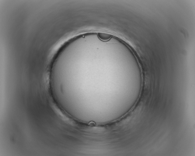 X0000113611503200910091530