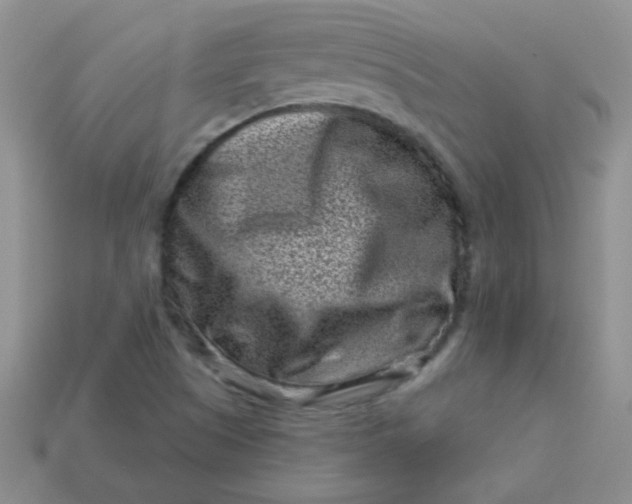 X0000113611505200910091530