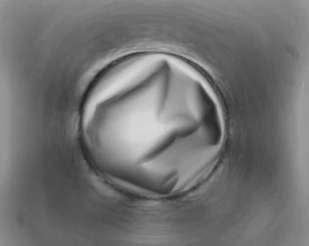 X0000113611507200910091531