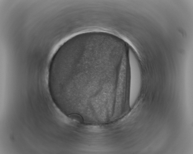 X0000113611508200910091531