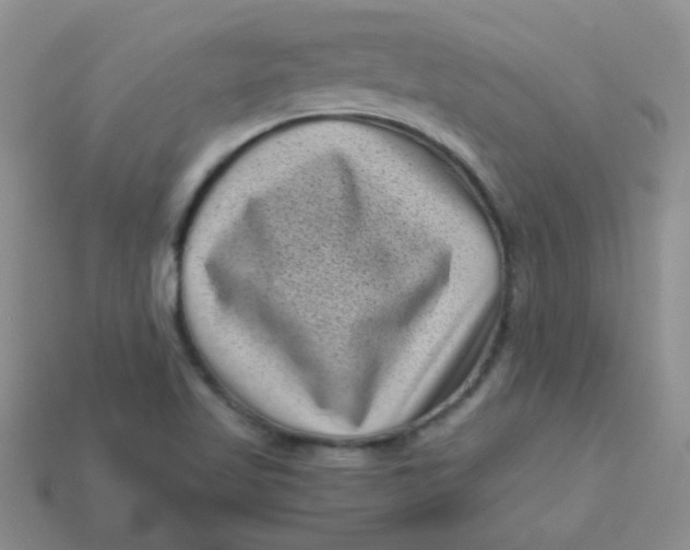 X0000113611509200910091531