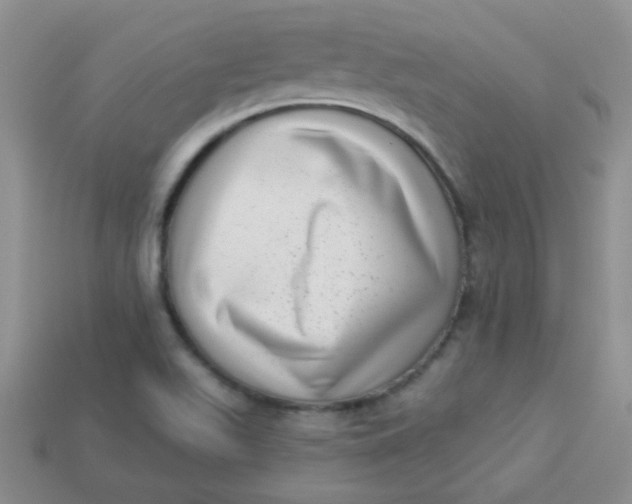 X0000113611511200910091531