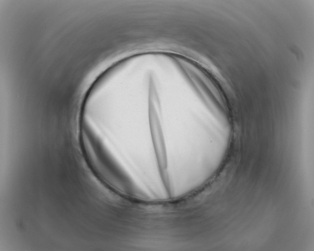 X0000113611512200910091531