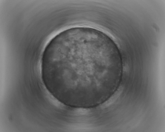 X0000113611514200910091531