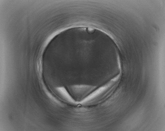 X0000113611515200910091531