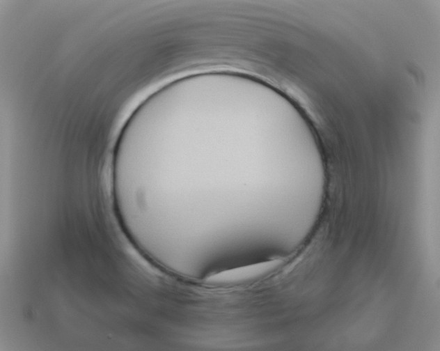 X0000113611516200910091531