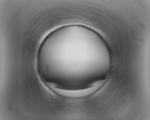 X0000113611518200910091531