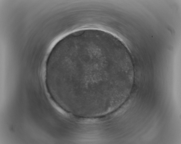 X0000113611519200910091531