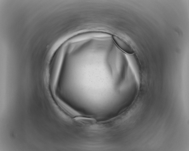 X0000113611520200910091531