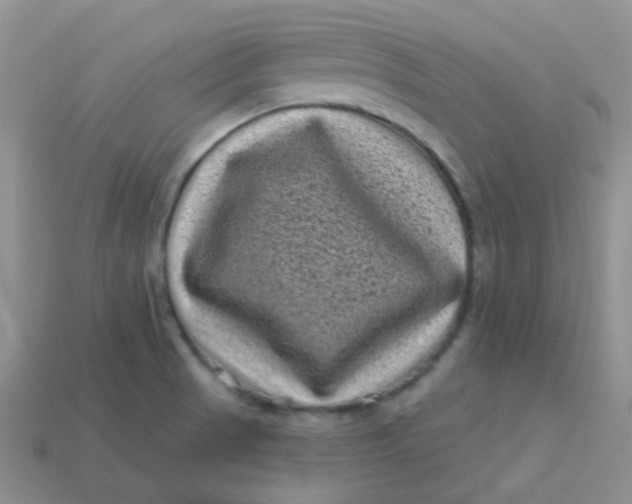 X0000113611521200910091531