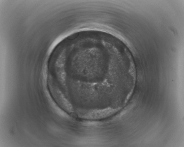 X0000113611522200910091531