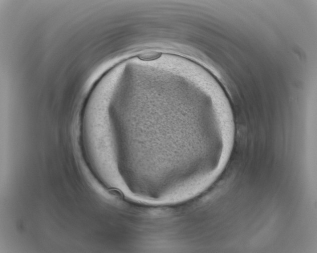 X0000113611523200910091531