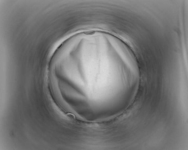 X0000113611524200910091531