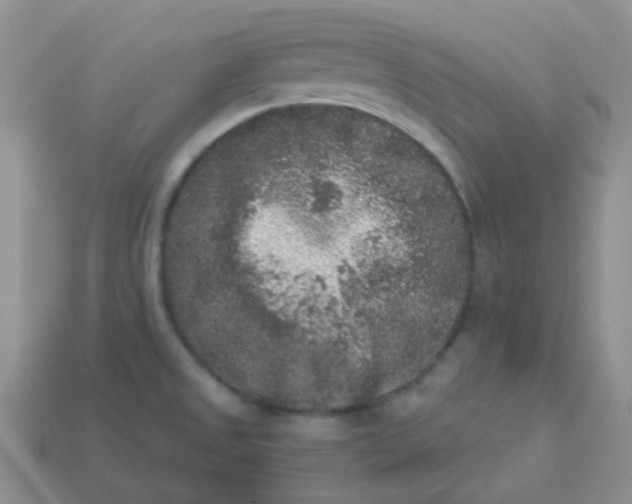 X0000113611525200910091531