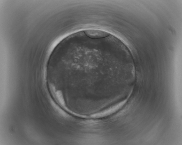 X0000113611527200910091531