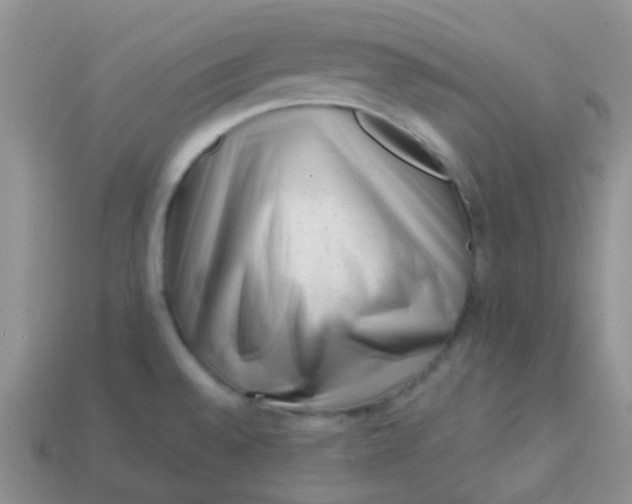 X0000113611528200910091531