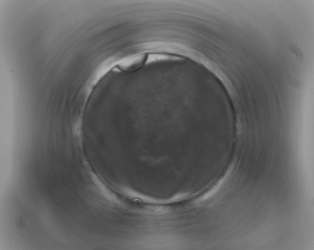 X0000113611529200910091531