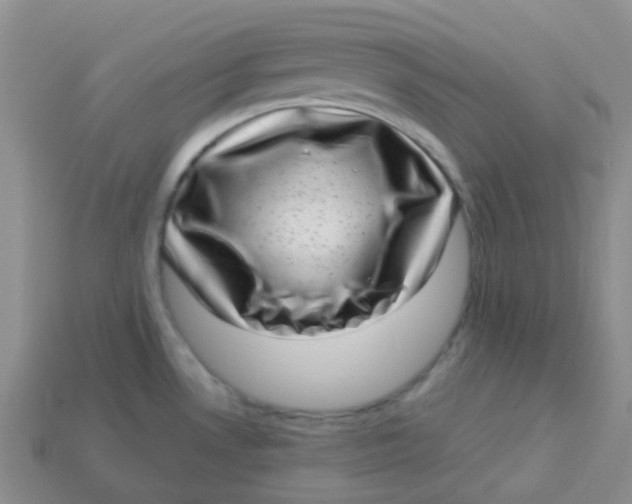 X0000113611530200910091531