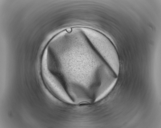 X0000113611531200910091531