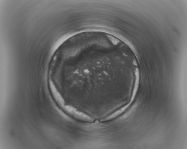 X0000113611533200910091531