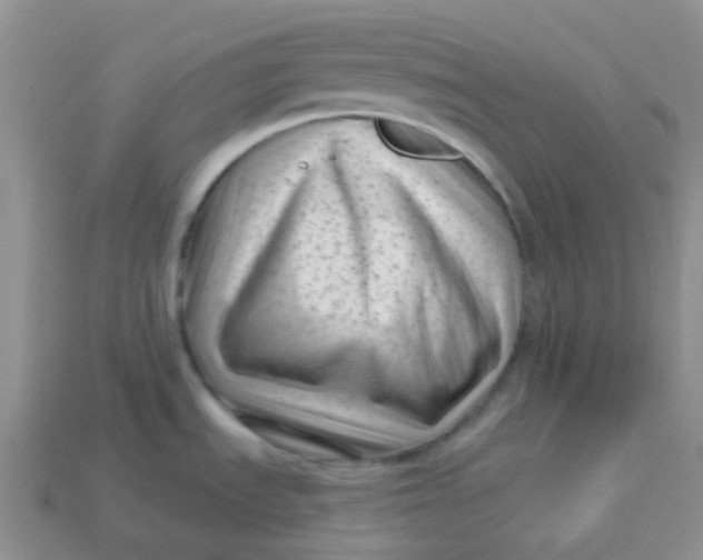 X0000113611535200910091531