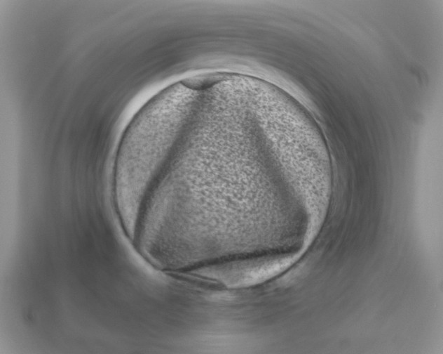 X0000113611536200910091531