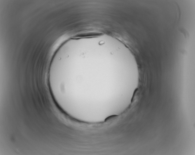 X0000113610003200910161940