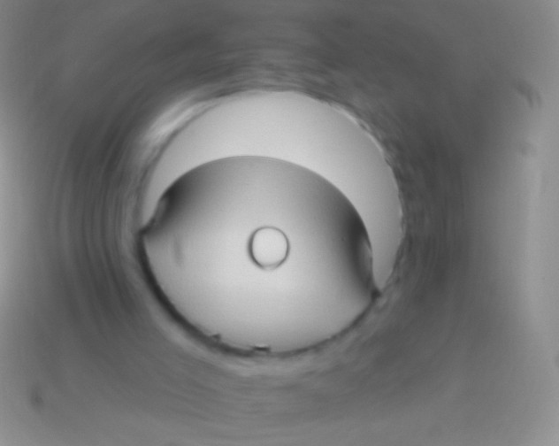 X0000113610005200910161940