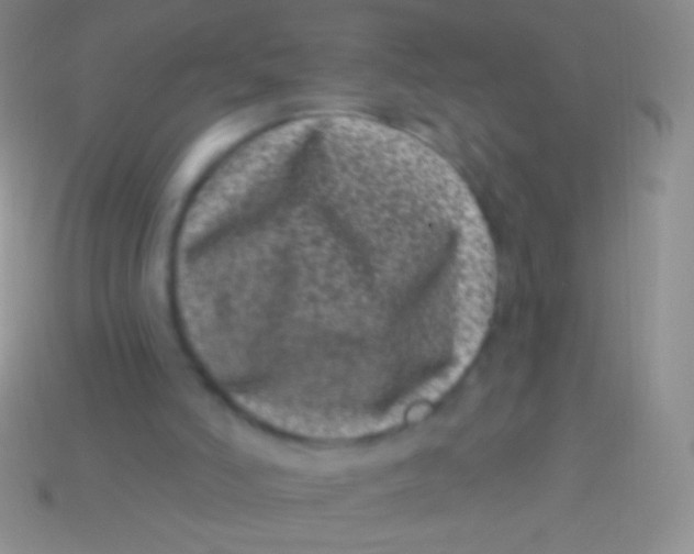 X0000113610006200910161940