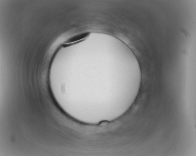 X0000113610007200910161940