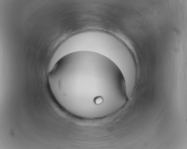 X0000113610009200910161940