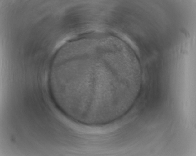 X0000113610010200910161940