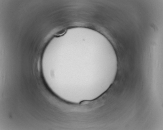 X0000113610011200910161940