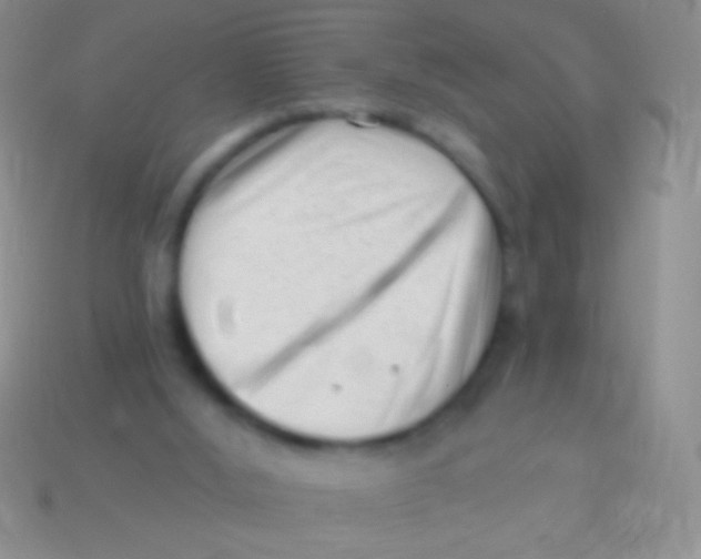 X0000113610012200910161940