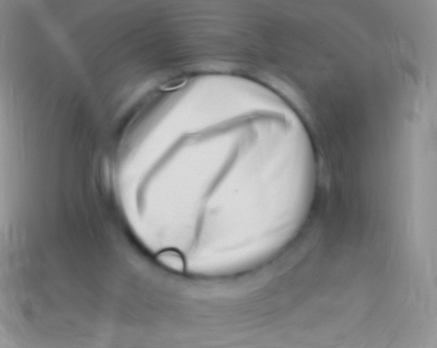 X0000113610013200910161940