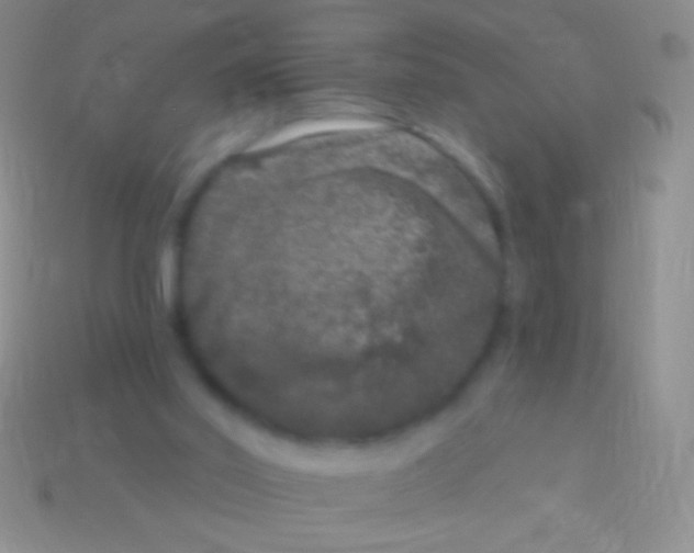 X0000113610014200910161940