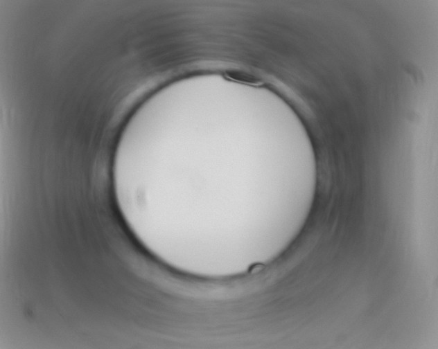 X0000113610015200910161940