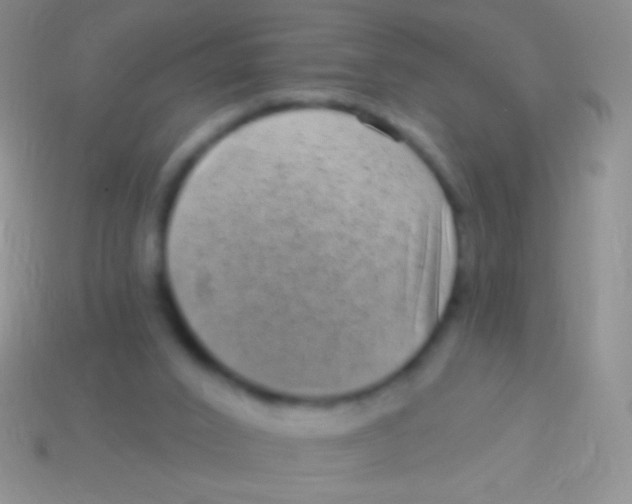 X0000113610016200910161940