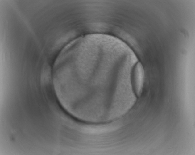 X0000113610017200910161940