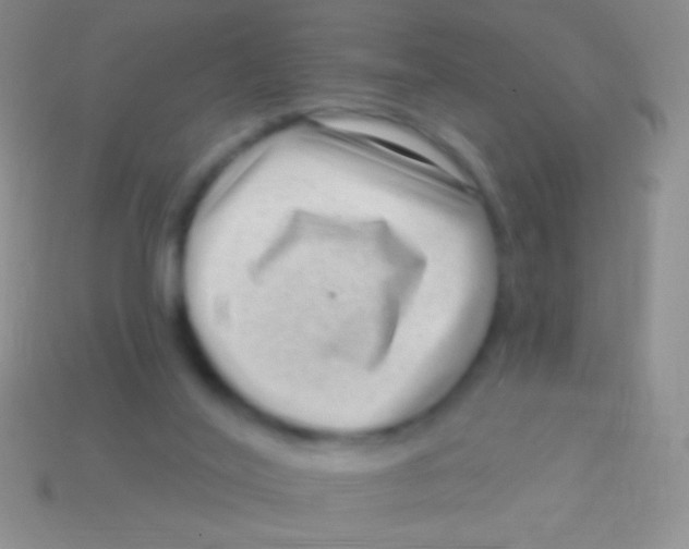 X0000113610020200910161940