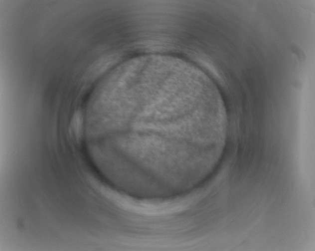 X0000113610022200910161940