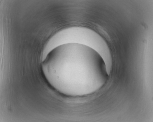 X0000113610025200910161940