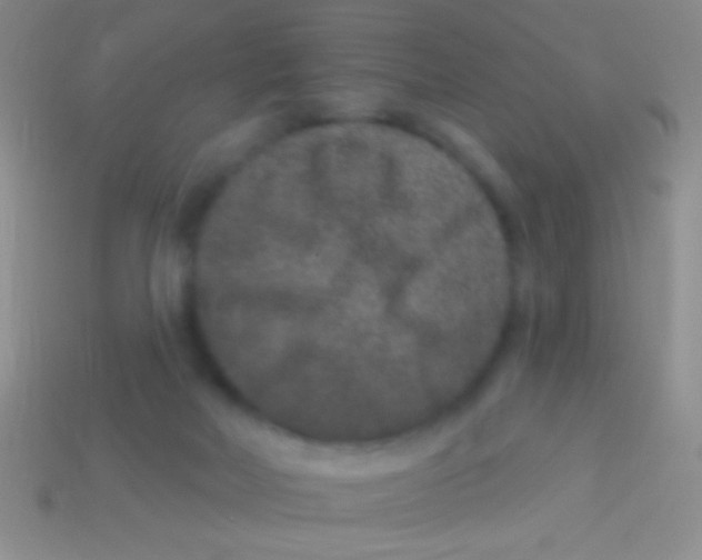 X0000113610026200910161940