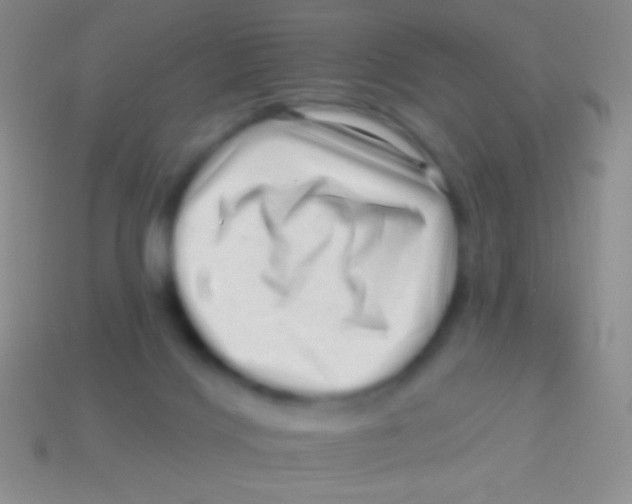 X0000113610028200910161940