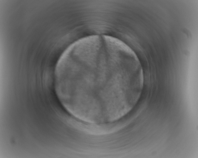 X0000113610030200910161939