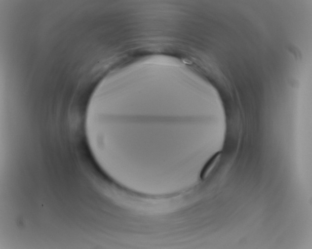 X0000113610031200910161939