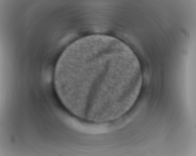 X0000113610032200910161939